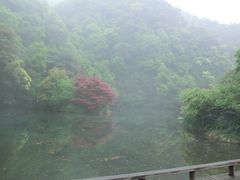 CIMG0069-九溪烟树