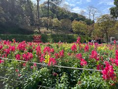 -西樵山风景名胜区-天湖公园