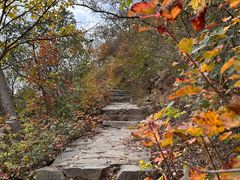 -北京西山国家森林公园