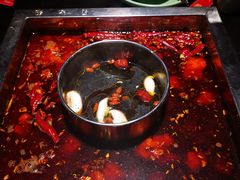 -蜀江龙火锅(339店)
