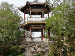 -莲花池公园