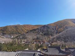 -碧中海汤泉汗蒸酒店