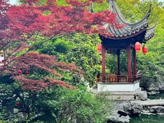 -祝家花園(伯渎港店)