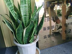 -Quantum量子膜(美即汽车贴膜店)