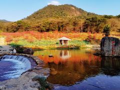 -广州市石门国家森林公园