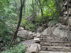 -大岭沟猕猴桃谷风景区