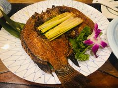 -紫滇源云南生态菜(丹凤街店)