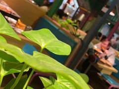 -蛙喔炭烧牛蛙(盐城盐都万达店)