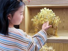 -东华门大街小区