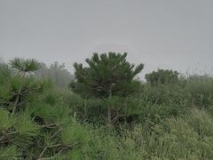 -妙峰山风景名胜区