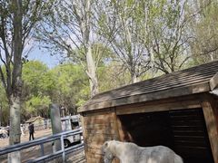 -长白岛森林公园