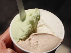 -Dip in Gelato(富民路店)