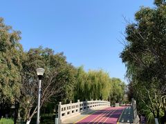 -尚贤河湿地
