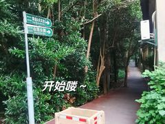 -紫金山山顶公园