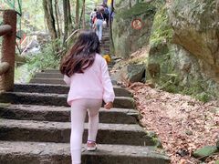 -藏龙百瀑风景区