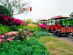 -芒洲湿地公园
