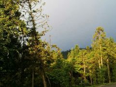 android_upload_pic-摩围山景区