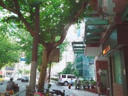-V-STAR威斯达•高级私人定制