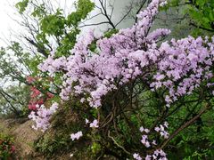 -西泰山风景区
