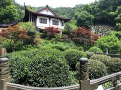 -十八棵（老龙井）御茶园(老龙井店)