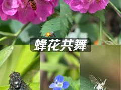 -无锡动物园·太湖欢乐园