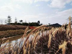 -光明小镇欢乐田园