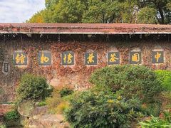 -中国茶叶博物馆(双峰馆区)