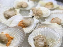 -新发展亚太JW万豪酒店·福苑咖啡厅