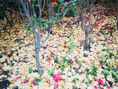 -苏州河梦清园环保主题公园