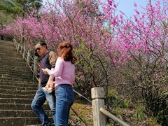 -天台山赤城山景区