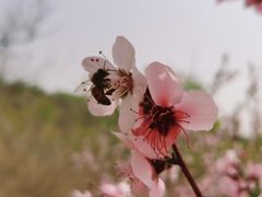 -白水寺森林公园