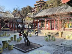 -宫事颐庭·老佛爷贵寿下午茶(颐和园店)