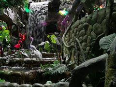 -多彩贵州城极地海洋世界