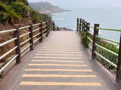 -广东惠东海龟国家级自然保护区