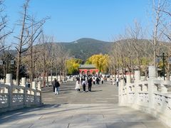 -晋祠公园
