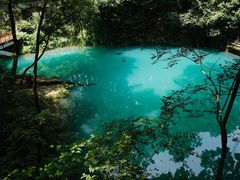 -之江大学-旧址