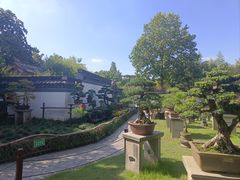 -南翔古镇