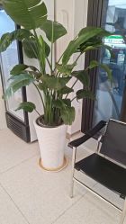 -魔型社烫染店