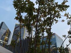 -小河盐帮·私家菜·烤鸭(三元桥·霄云路店)