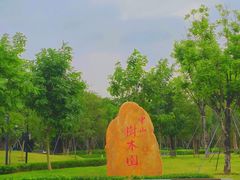 -中山市树木园