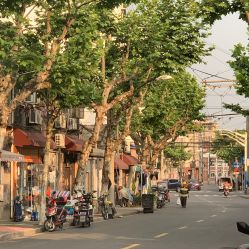 -本小姐美学·半永久纹眉野生眉