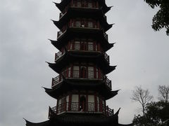 -黄贤森林公园