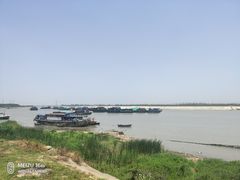 -合肥滨湖国家森林公园