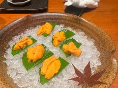 -月龍吟(朝龙汇店)