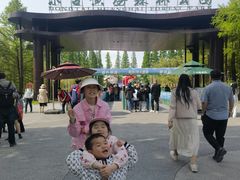 -黄海国家森林公园