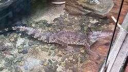 -Zoolung Zoolung动物主题公园(海信广场店)