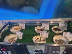 -滇牛云南火锅(桂林路店)