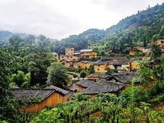 -杨家堂村