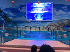 -福州罗源湾海洋世界旅游区