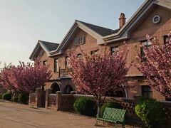 -清风小镇闯关东影视基地